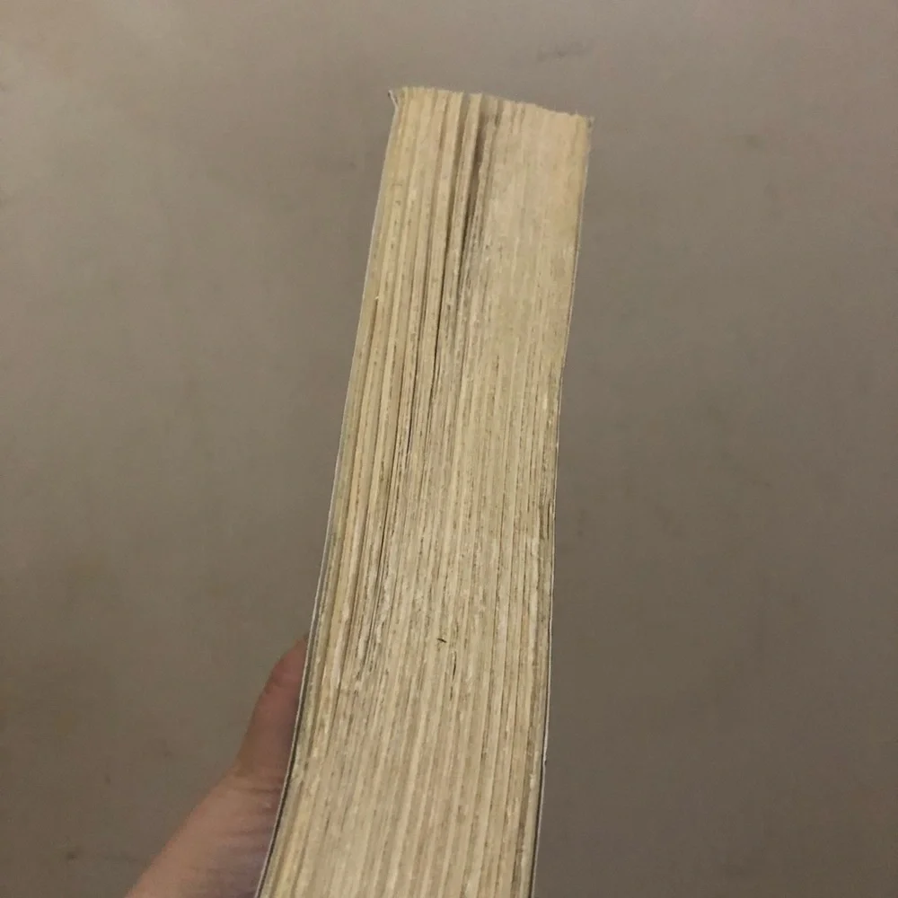 5/$15 🐱 The Kept Woman by Karin Slaughter. - Picture 3 of 3